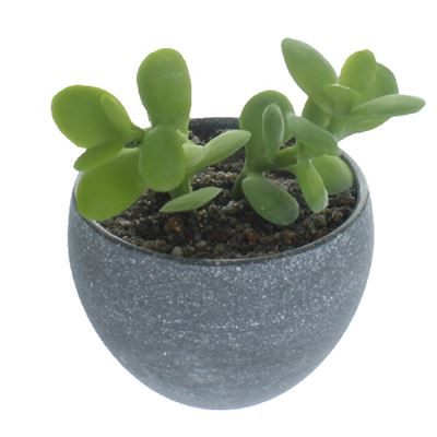 Realistic Artificial Succulent Plant In Grey Plant Pot 10cm